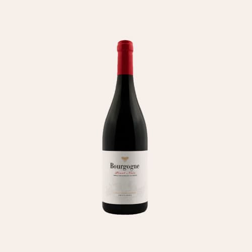 Louis Changarnier Bourgogne Pinot Noir