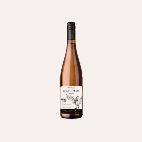 Miguel Torres Andica Gewurtztraminer